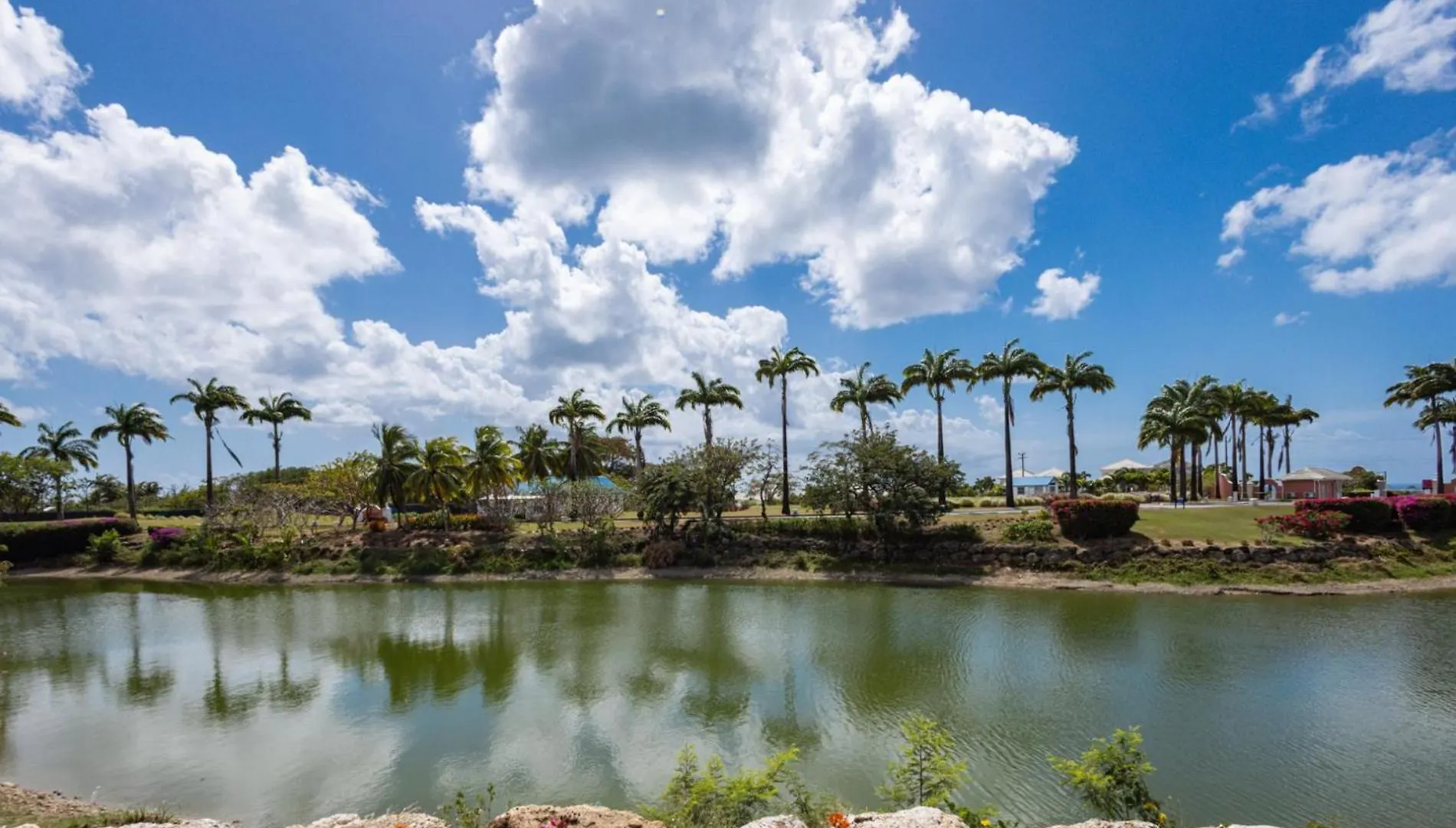 סנט ג'יימס Cassia Heights 29 Royal Westmoreland